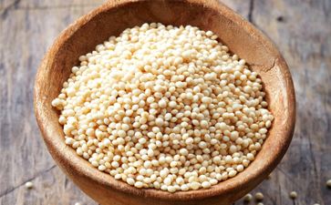 Oil Seeds