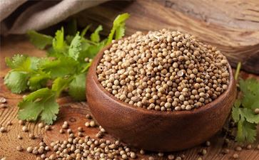Oil Seeds