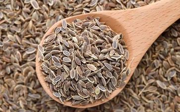 Oil Seeds