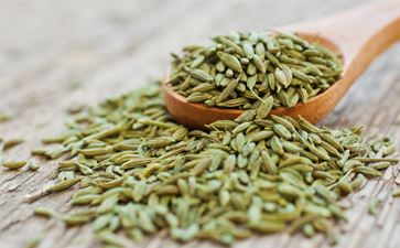 Oil Seeds