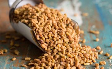 Oil Seeds