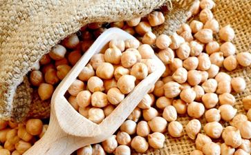 Oil Seeds