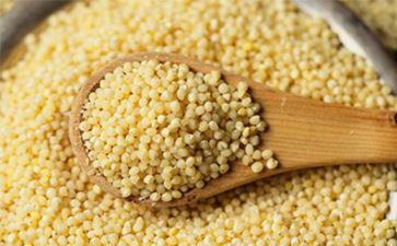 Oil Seeds