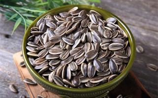Oil Seeds
