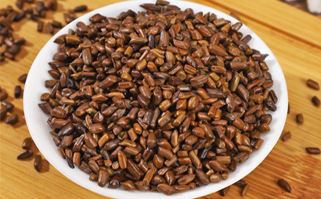 Oil Seeds
