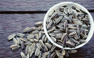 Oil Seeds