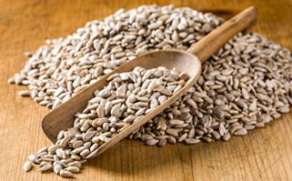 Oil Seeds