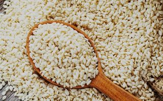 Oil Seeds