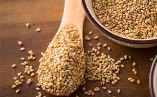 Oil Seeds
