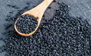 Oil Seeds