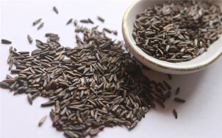 Oil Seeds
