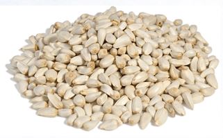Oil Seeds