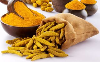 Oil Seeds