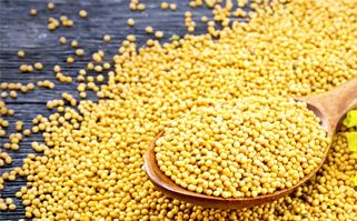 Oil Seeds