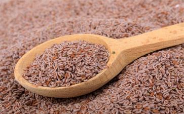 Oil Seeds