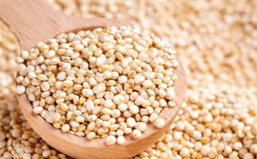 Oil Seeds